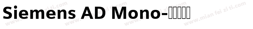 Siemens AD Mono字体转换